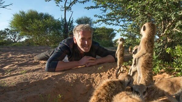 Presenter Gordon Buchanan lying on the dirt eye to eye with three meerkats